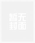 抗战之少年匪王